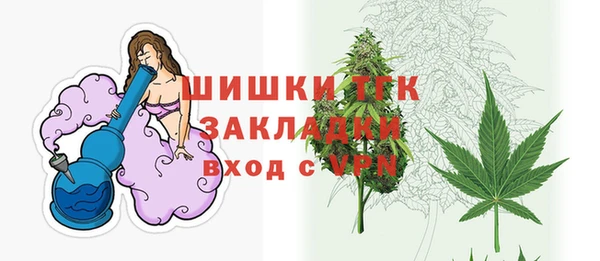 прущие грибы Вяземский
