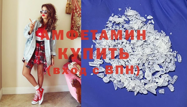 прущие грибы Вяземский