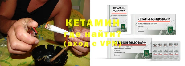 прущие грибы Вяземский