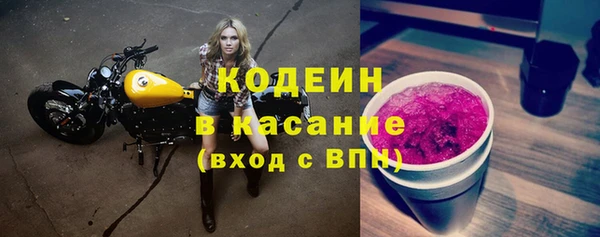 прущие грибы Вяземский