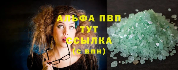 прущие грибы Вяземский