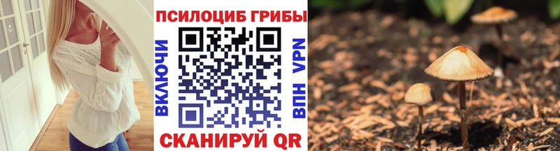 Купить  Коряжма  Псилоцибиновые грибы ЛСД 